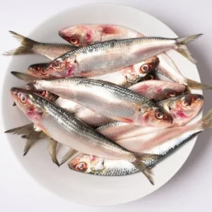 sardines